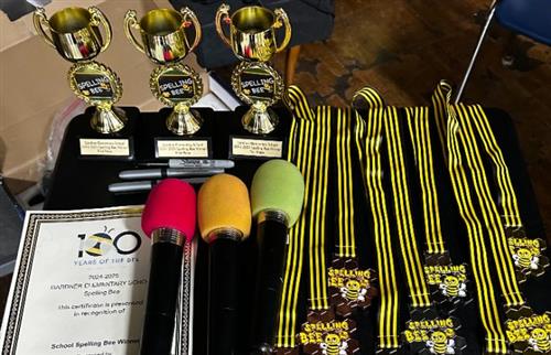 spelling bee medals and trophies